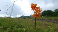 pana0611_thumb.jpg