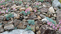 pana0614_thumb.jpg
