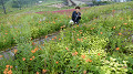 pana0624_thumb.jpg