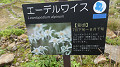 pana0628_thumb.jpg