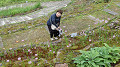 pana0637_thumb.jpg