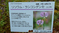 pana0639_thumb.jpg