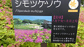 pana0643_thumb.jpg