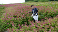 pana0644_thumb.jpg