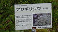 pana0648_thumb.jpg