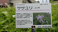 pana0656_thumb.jpg