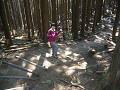 P1040811_thumb.jpg