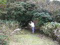 P1040887_thumb.jpg