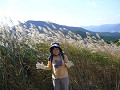 p1050042_thumb.jpg