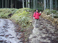 P1050540_thumb.jpg
