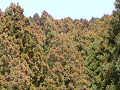 P1050580_thumb.jpg