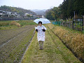 P1050934_thumb.jpg