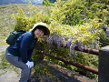 P1060357_thumb.jpg