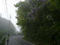 P1060569_thumb.jpg
