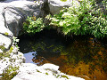 P1060619_thumb.jpg