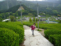 P1060677_thumb.jpg