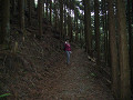 P1060684_thumb.jpg