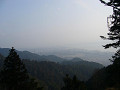 P1010445_thumb.jpg