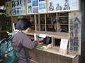 P1010541_thumb.jpg