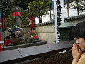 P1010580_thumb.jpg