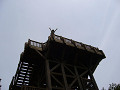 P1010815_thumb.jpg