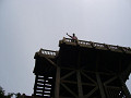 P1010822_thumb.jpg