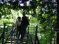 P1020126_thumb.jpg