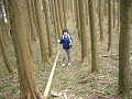 P1020573_thumb.jpg