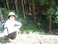 P1020634_thumb.jpg