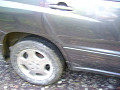 P1020650_thumb.jpg