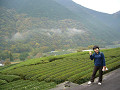 P1020891_thumb.jpg