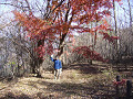 P1030034_thumb.jpg