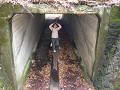 P1030491_thumb.jpg