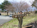 P1030499_thumb.jpg