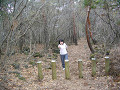 P1030504_thumb.jpg