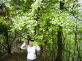 P1030798_thumb.jpg