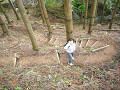 P1030802_thumb.jpg