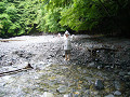 P1030837_thumb.jpg
