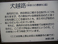 P1030848_thumb.jpg