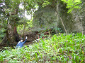P1030944_thumb.jpg