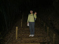 P1030988_thumb.jpg