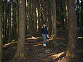 P1040047_thumb.jpg