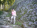 P1040491_thumb.jpg