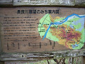 06031104_thumb.jpg