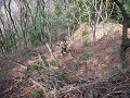 06031113_thumb.jpg