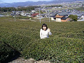 06032518_thumb.jpg