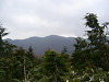P1000170_thumb.jpg