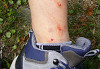 p1000289_thumb.jpg