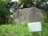 P1000344_thumb.jpg