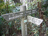 P1000651_thumb.jpg